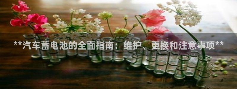 优发国际登录app