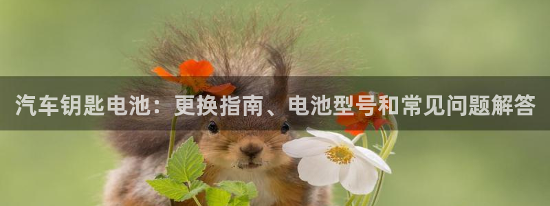 优发国际网站