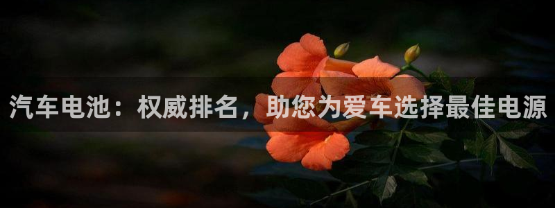 优发国际注册平台是什么