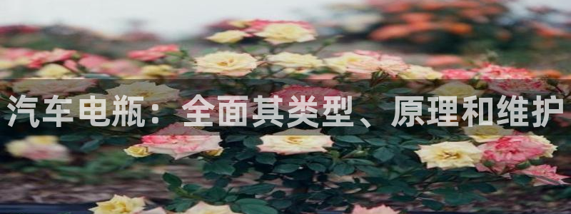 优发国际手机版官网入口