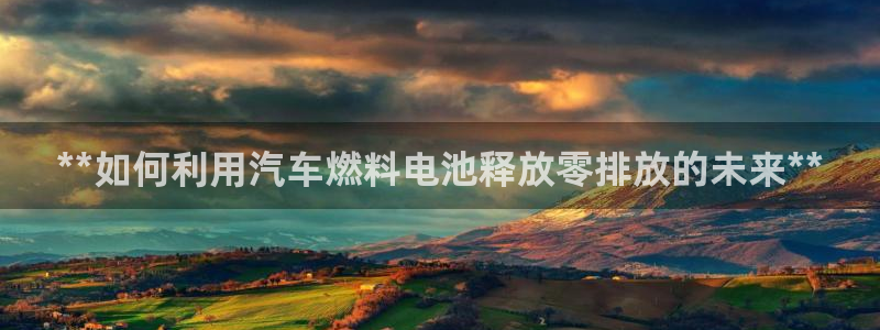 优发国际多少钱