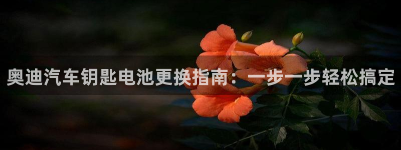 优发国际手机客户端下载安装苹果