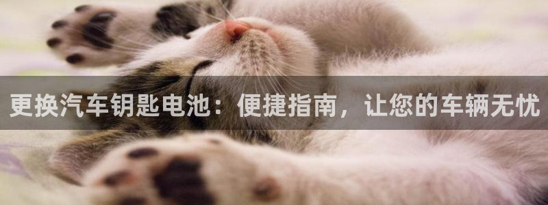 优发国际一触即发登陆