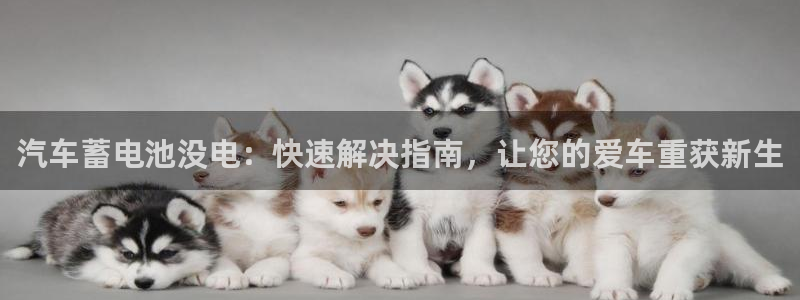 优发国际app官网下载安装手机版