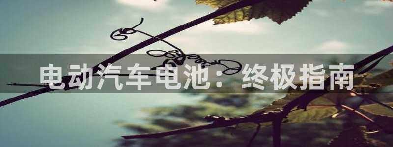 优发国际