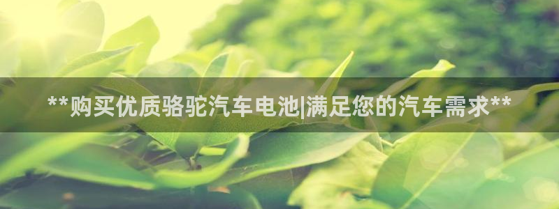 优发国际手机app下载安装官网