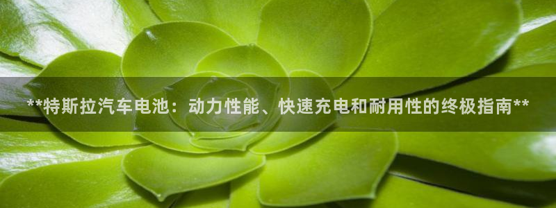 优发国际平台18岁能做吗