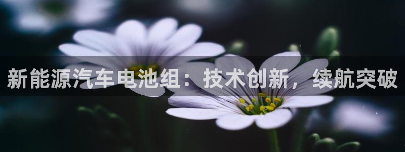 优发国际安卓版下载安装教程