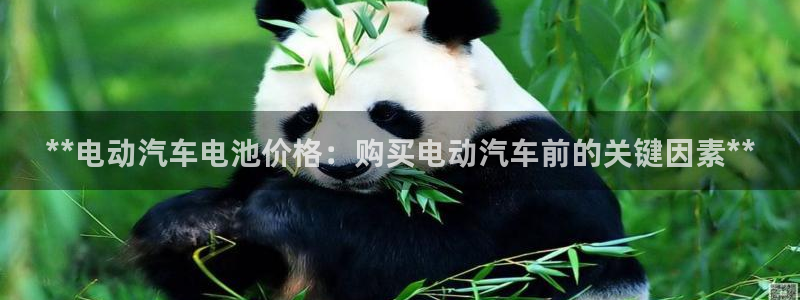 优发国际是大平台吗还是小平