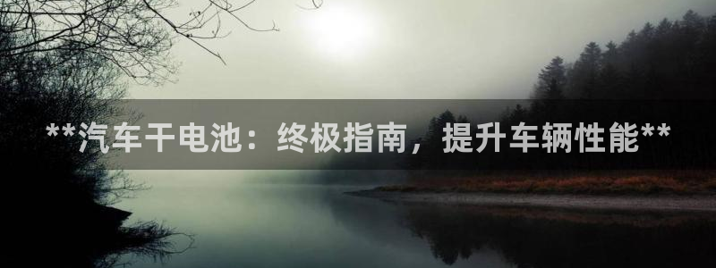 优发国际是大平台吗