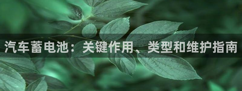 优发国际登录a