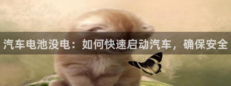 优发国际是大平台吗还是小平