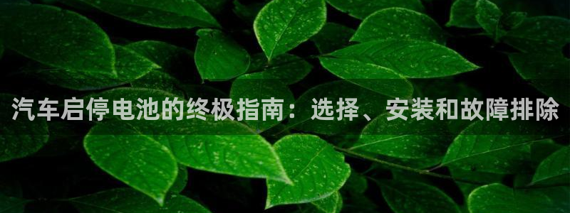 优发国际是大平台吗还是小平