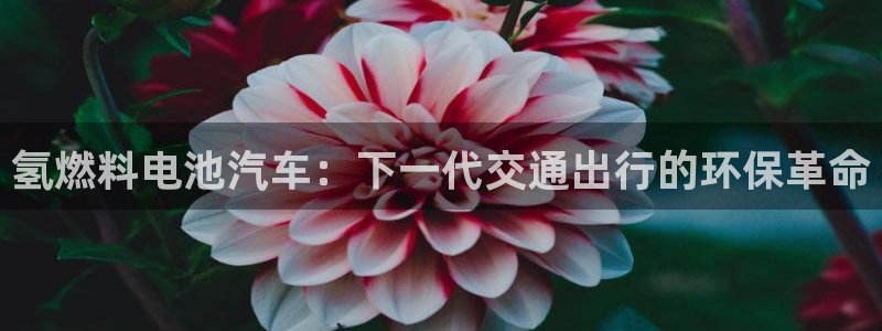 优发国际游戏官方网站