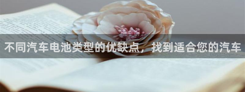 优发国际手机登录下载安装官网