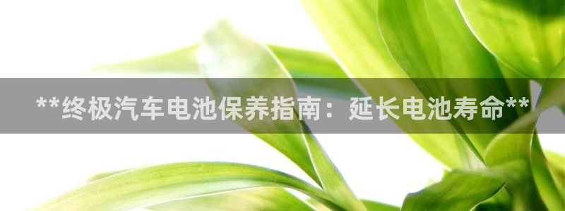 优发国际客服联系方式是什么