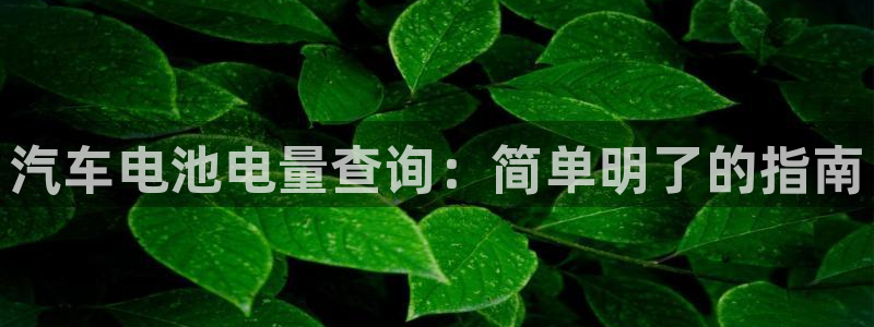优发国际youfa
