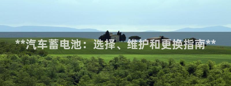 优发国际手机安装登录