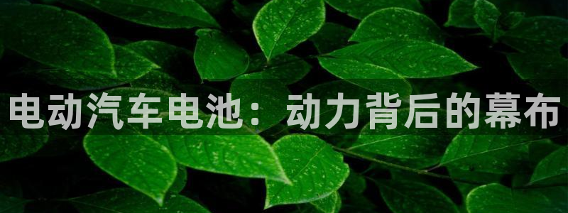优发国际登陆u