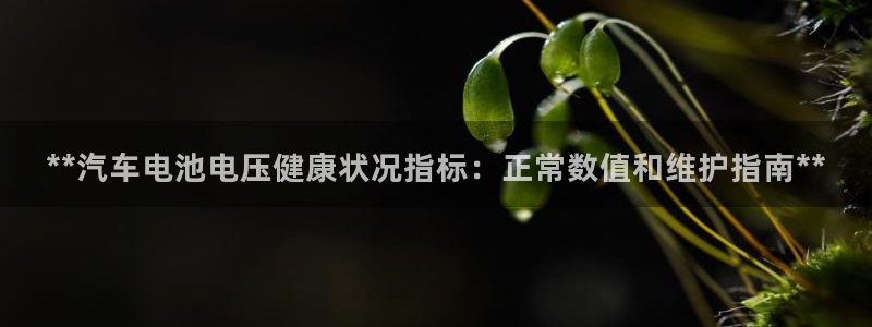 优发国际官方网手机版app
