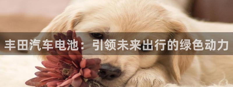 优发国际首页app：丰田汽车电池：引领未来出行的绿色动力