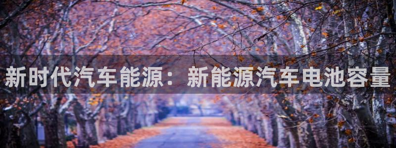 优发国际集团股份有限公司