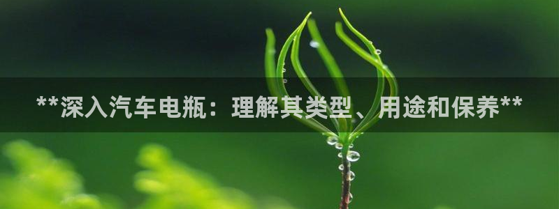 优发国际游戏