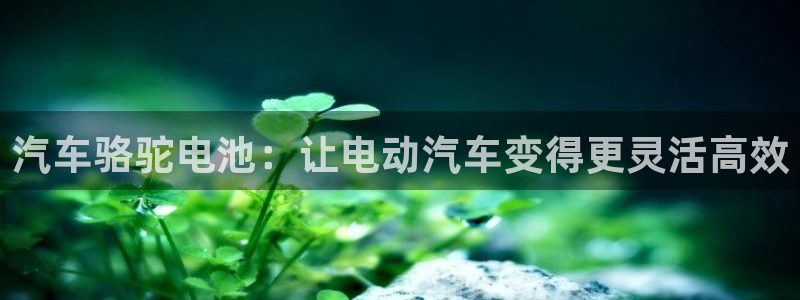 优发国际手机登录下载安装官网：汽车骆驼电池：让电动汽车变得更灵活高效