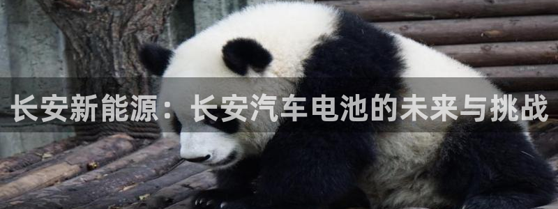 优发国际注册平台官网