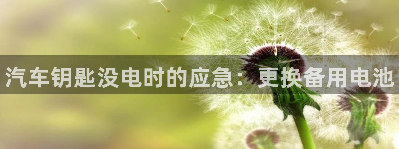 优发国际集团股份有限公司招聘