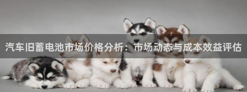 优发国际电话：汽车旧蓄电池市场价格分析：市场动态与成本效益评估