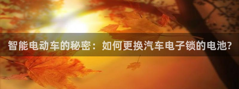 优发国际注册17
