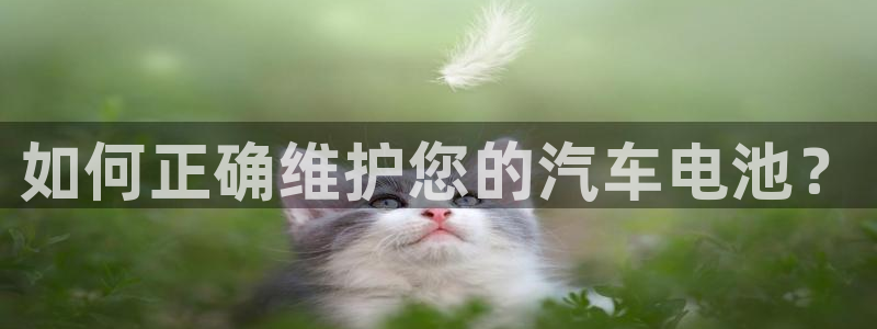 优发国际登陆u