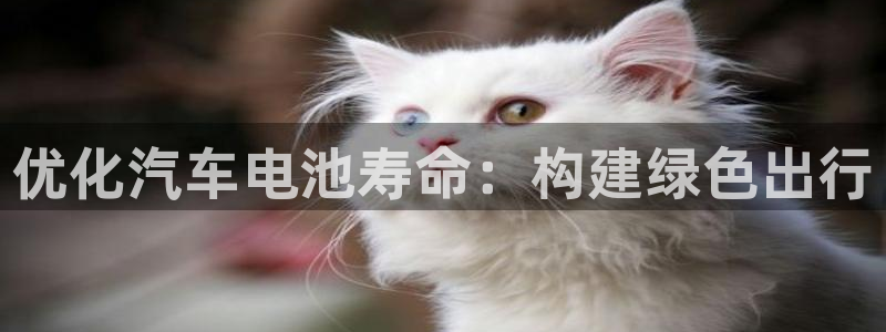 优发国际手机登录下载安装官网