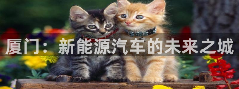 优发国际手机客户端下载安装