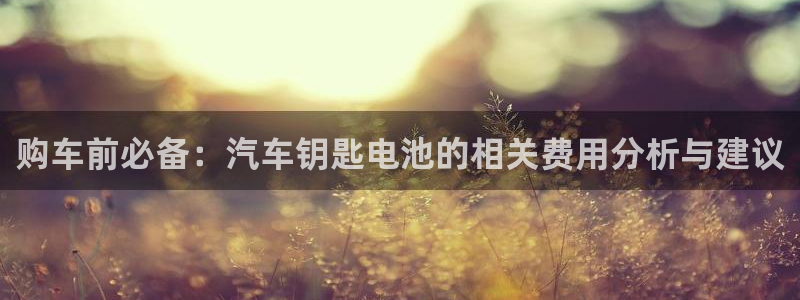 优发国际首页：购车前必备：汽车钥匙电池的相关费用分析与建议
