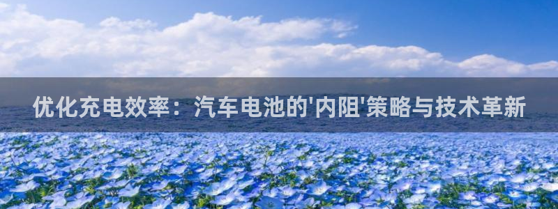 优发国际官网手机版代理：优化充电效率：汽车电池的\'内阻\'策略与技术革新