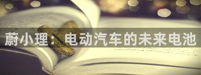 优发国际官方下载app：蔚小理：电动汽车的未来电池