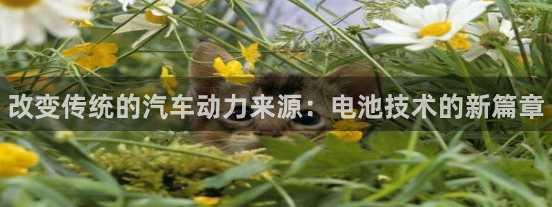优发国际手机版官网下载