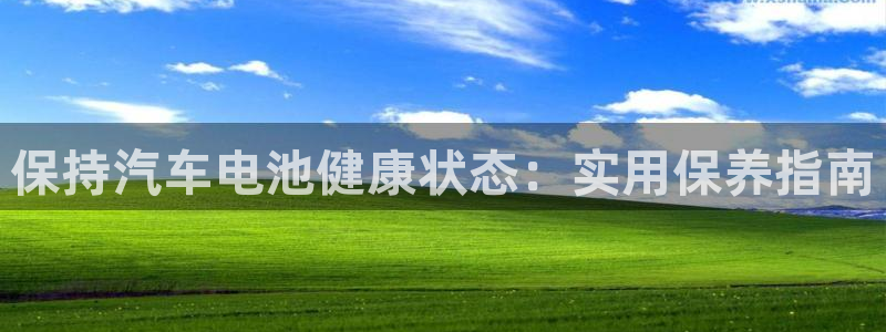 优发国际官网下载安装苹果：保持汽车电池健康状态：实用保养指南