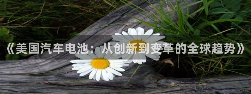 优发国际注册17：《美国汽车电池：从创新到变革的全球趋势》