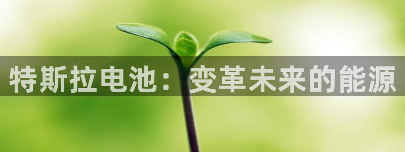 优发国际注册17