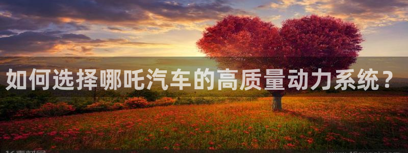 优发游戏官网：如何选择哪吒汽车的高质量动力系统？