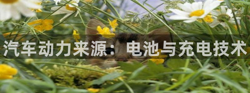 优发国际平台g8怎么样：汽车动力来源：电池与充电技术