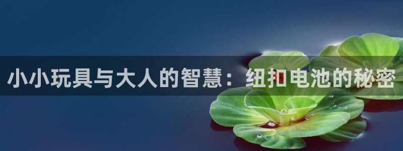 优发国际可以玩吗：小小玩具与大人的智慧：