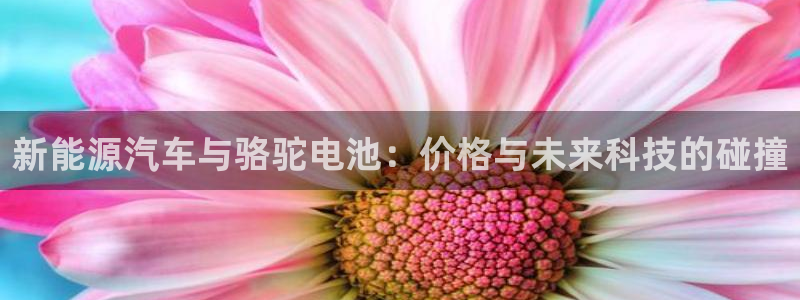 优发国际客服联系方式是什么：新能源汽车与
