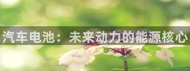 优发国际手机客户端下载安装：汽车电池：未