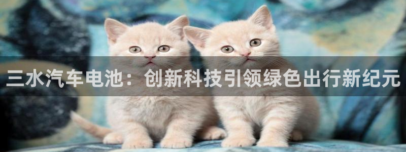 优发国际官方网手机版：三水汽车电池：创新