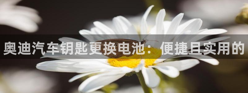 优发国际亚洲平台