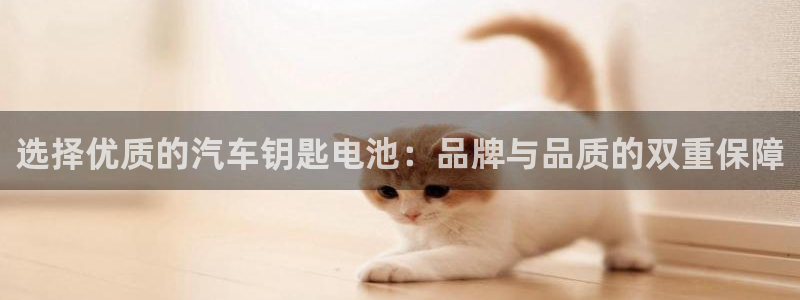 优发国际平台u8怎么样：选择优质的汽车钥匙电池：品牌与品质的双重保障